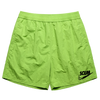 SCUM TICK 17" SWIM SHORTS