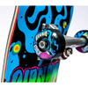 RIP N DIP Psychedelic Complete Skatebaord