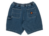 Santa Cruz Painters Short - Classic Blue