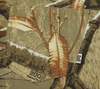 HUF X REALTREE CROMER SHORT- DESERT
