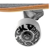 DGK Lolli Complete Skateboard 7.75"