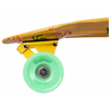 D Street Pintail Oasis Longboard 36 IN