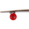 D Street Pintail Malibu Longboard 40 IN